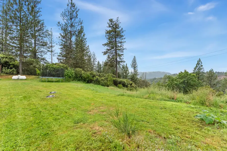 6212 Dark Canyon Road, North El Dorado, CA 96557 - #3