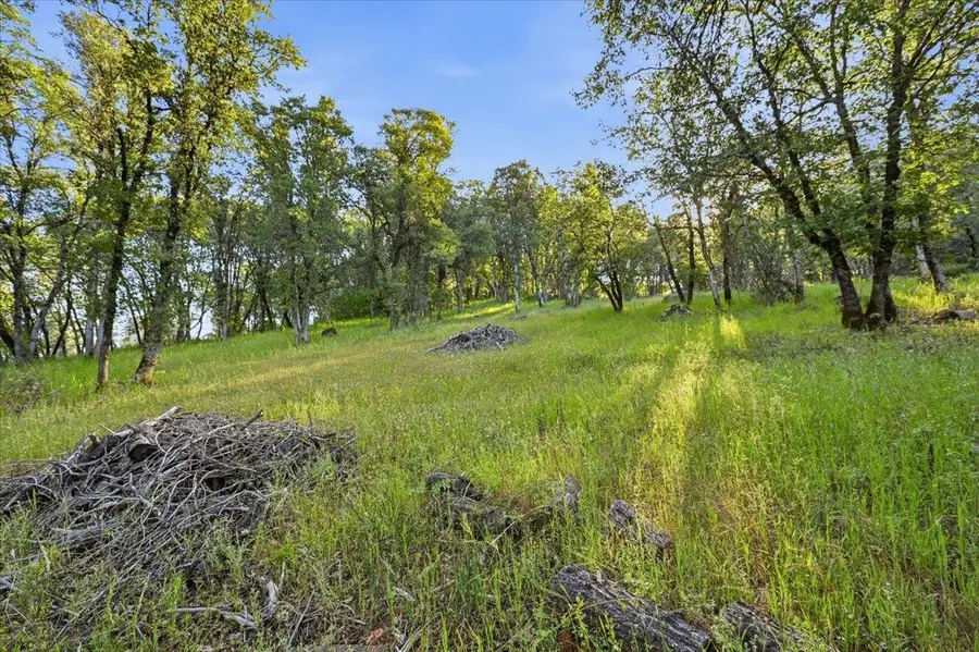 16095 Auburn Road, Grass Valley, CA 95949 - #3