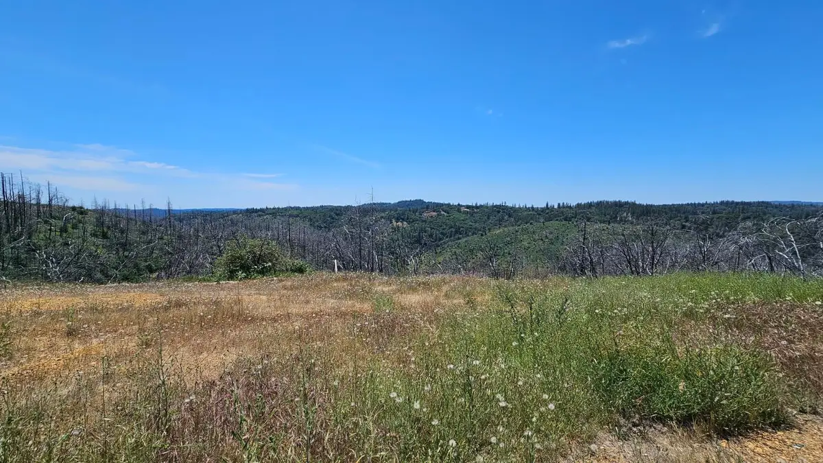 24920 Saddleback Lane, Colfax, CA 95713 - #1