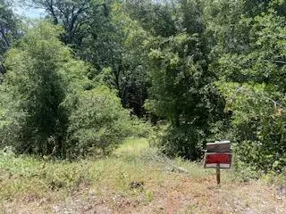 27880 Debbie Court, Pioneer, CA 95666 - #3
