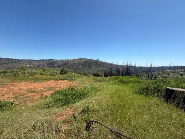 10340 Grizzly Flat Road, Grizzly Flats, CA 95636