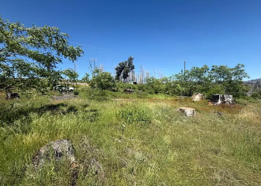 10340 Grizzly Flat Road, Grizzly Flats, CA 95636 - #2