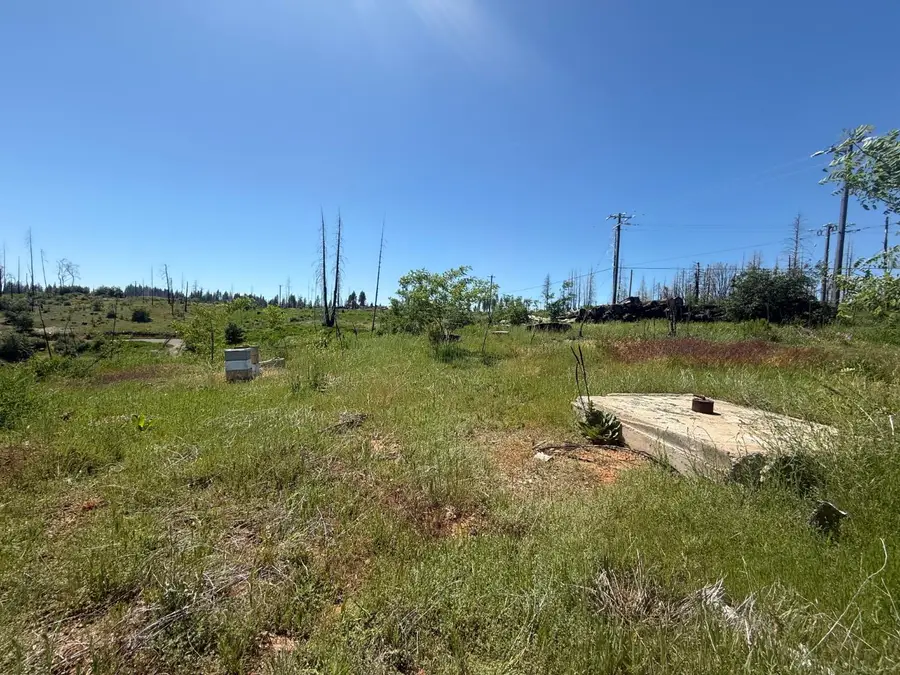 10340 Grizzly Flat Road, Grizzly Flats, CA 95636 - #3
