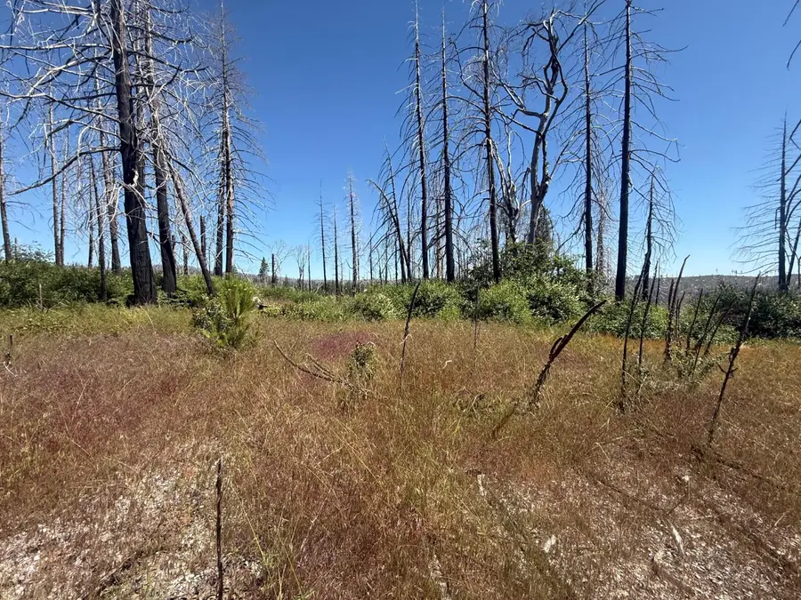 7350 S View Drive, Grizzly Flats, CA 95636 - #2