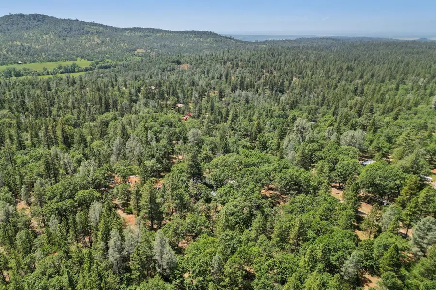 10707 Hufford Ranch Road, Whitmore, CA 96096 - #3