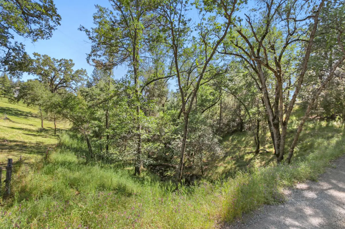 0 Hoot Owl Ravine Road, Placerville, CA 95667 - #1