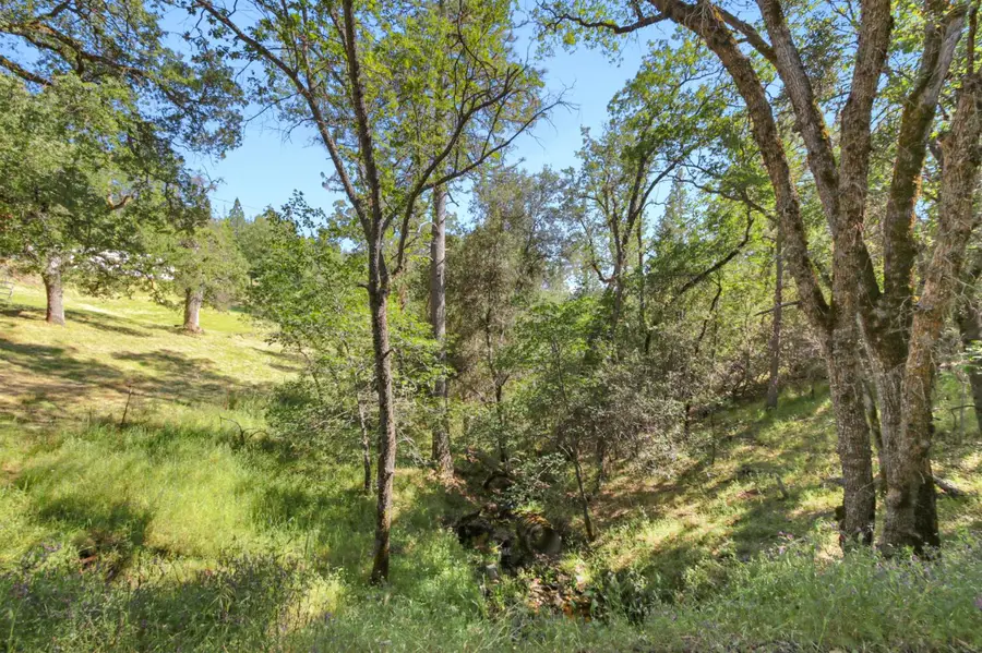 0 Hoot Owl Ravine Road, Placerville, CA 95667 - #2
