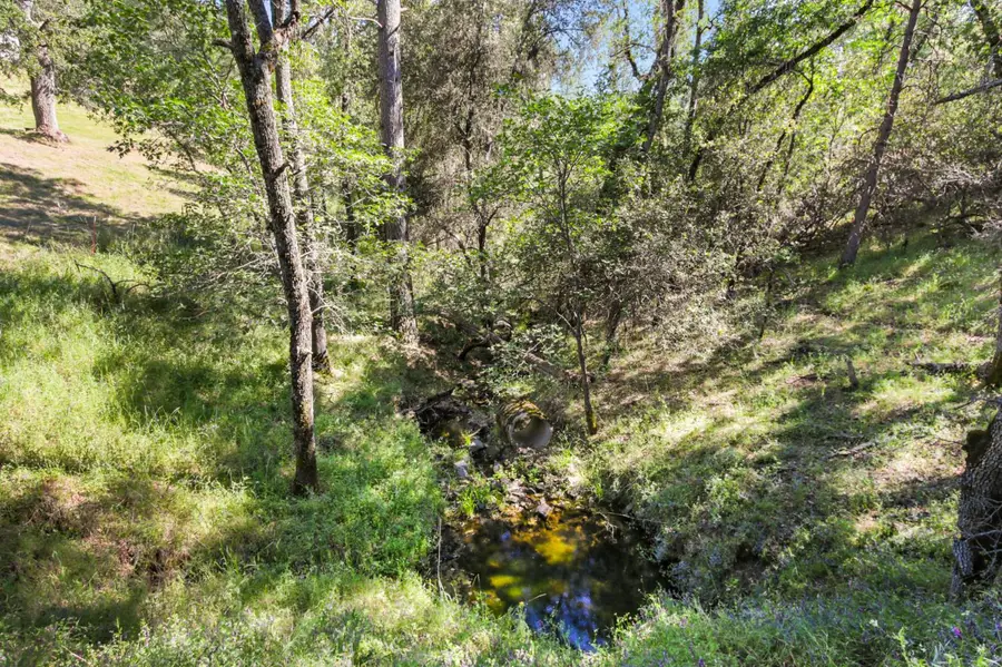 0 Hoot Owl Ravine Road, Placerville, CA 95667 - #3