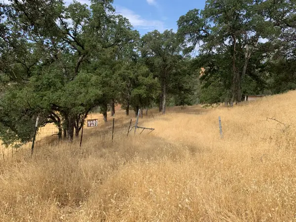 7293 Hawk Court, Corning, CA 96021