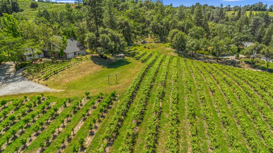 7460 Fairplay Road, Somerset, CA 95684 - #2