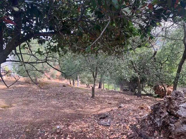 4817 Pueblo Trail, Copperopolis, CA 95228 - #1