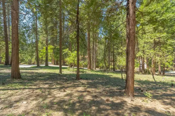 1621 Rawhide Drive, Arnold, CA 95223