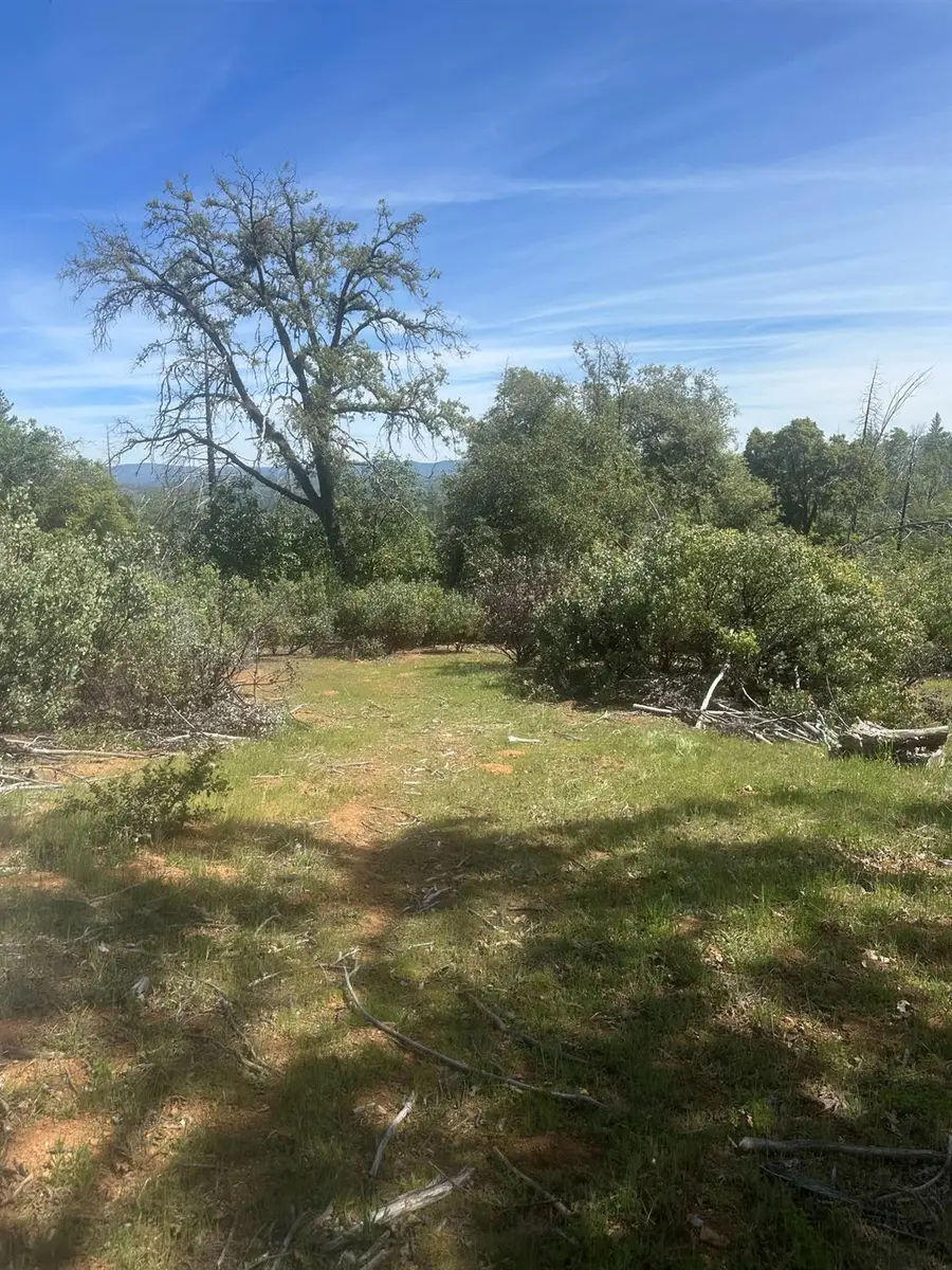 7256 Nikki, Mountain Ranch, CA 95246 - #2