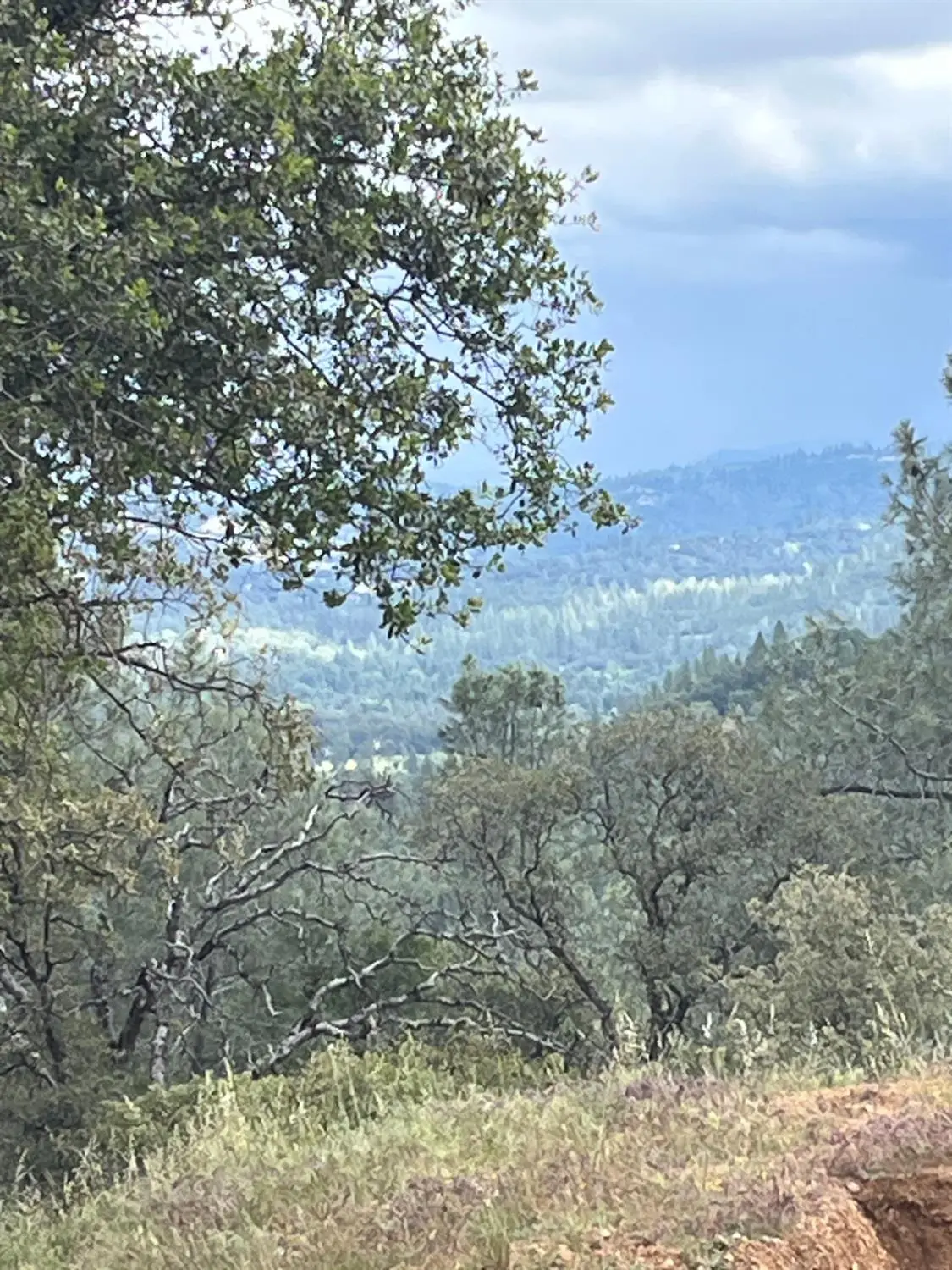 10811 Bell Road, Penn Valley, CA 95946 - #1