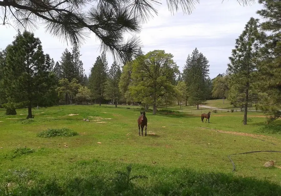 Address Withheld By Seller, Georgetown, CA 95634 - #3