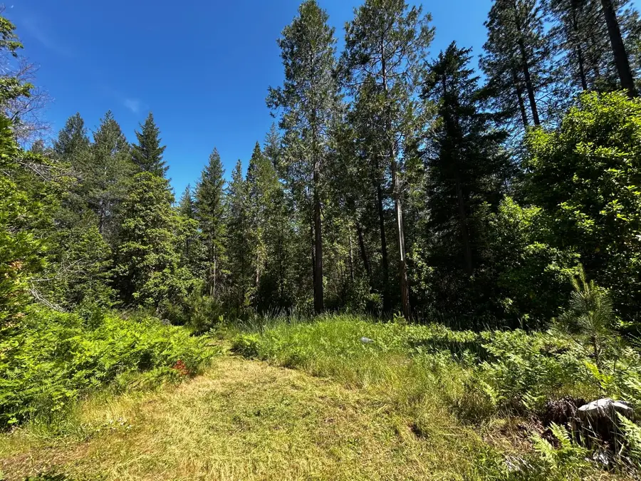 12215 Poke Place, Nevada City, CA 95959 - #3