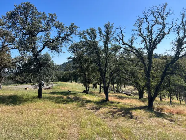 21 Strongbox Court, Browns Valley, CA 95918