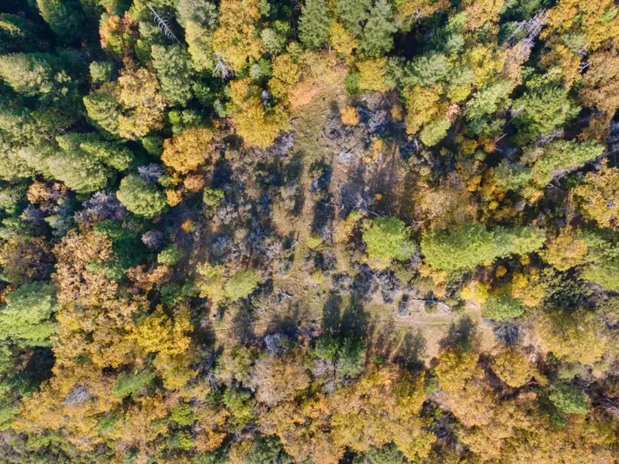 0 Starkes Grade Road, Pollock Pines, CA 95726 - #3