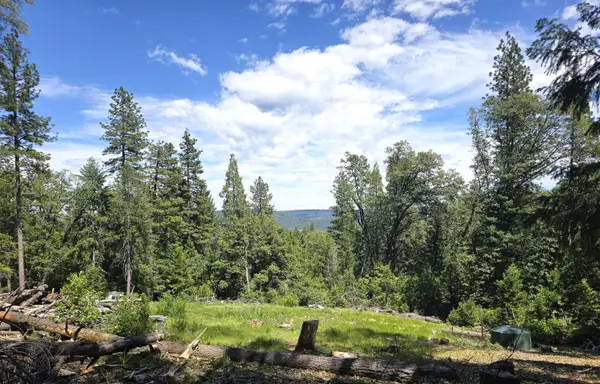 14599 Tumbling Creek, Nevada City, CA 95959