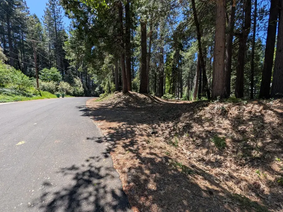 16819 Pasquale Road, Nevada City, CA 95959 - #3