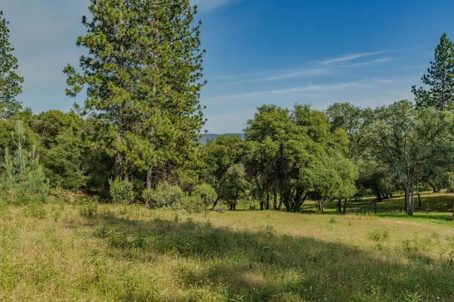 6216 Trout Lane, Mountain Ranch, CA 95246 - #3