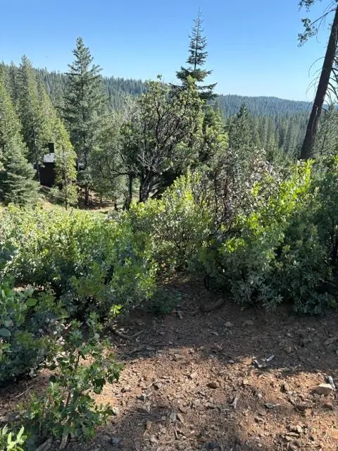 1088 Greensboro Way, Arnold, CA 95223