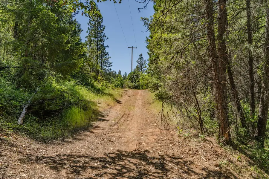 16030 Schaefer Ranch Road, Pioneer, CA 95666 - #2
