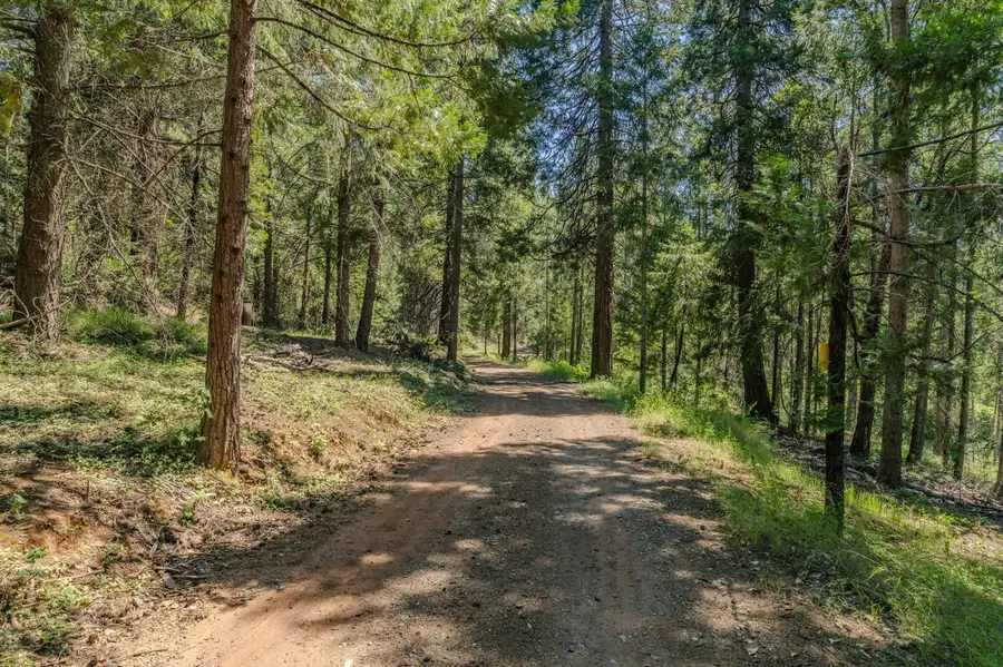 16030 Schaefer Ranch Road, Pioneer, CA 95666 - #3
