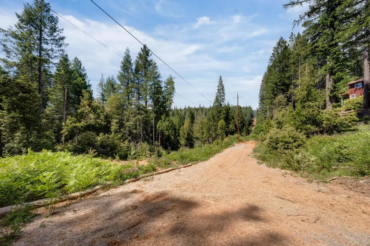 141 Glory Hole, Pike, CA 9613 - #1