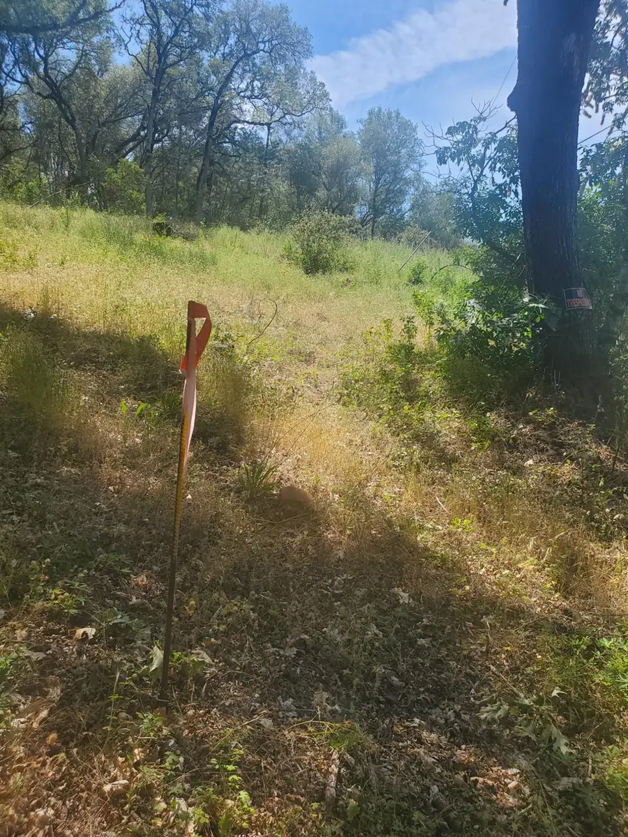 1190 Jurgens Road, Rescue, CA 95672 - #3