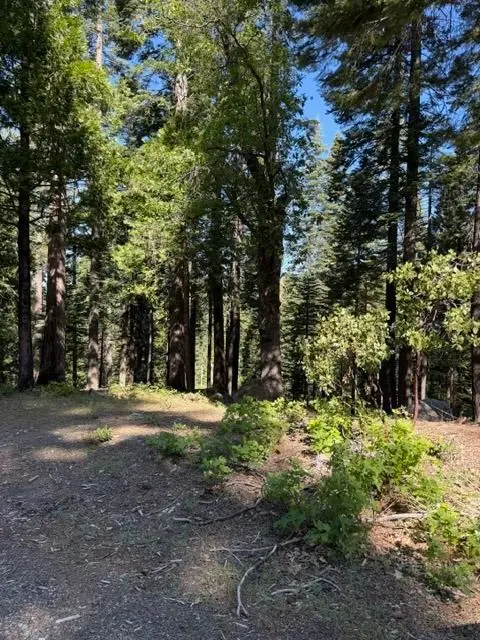 1619 Shoshone, Dorrington, CA 95223 - #1