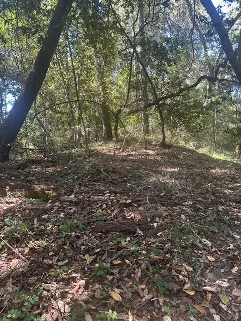0 Jarvis Rd, Santa Cruz, CA 95065 - #1
