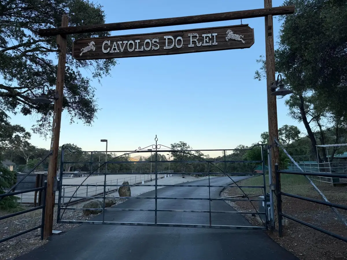 7087 Latigo Street, Angels Camp, CA 95222 - #1