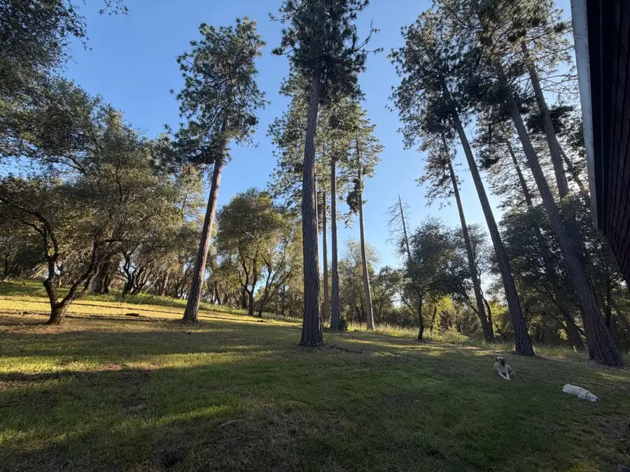 4321 Eden Lane, Fiddletown, CA 95629 - #3