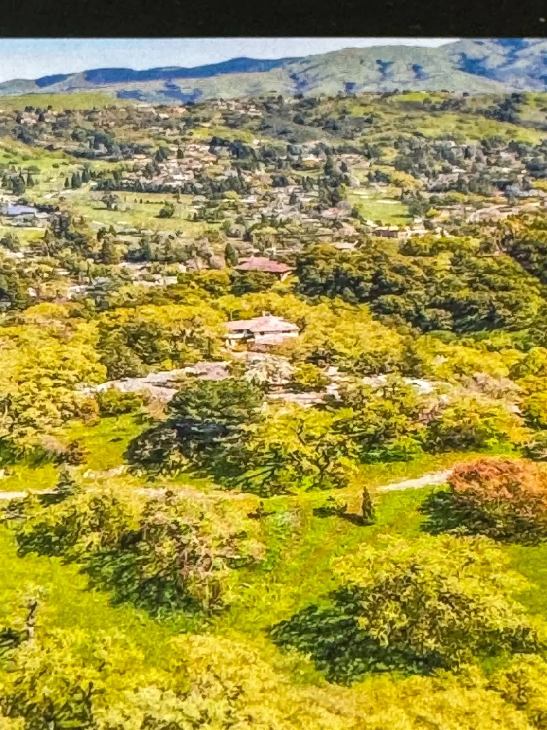 100 Los Balcones, Alamo, CA 94507 - #1