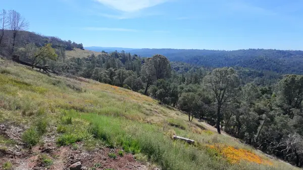 1687 Duden Drive, Placerville, CA 95667
