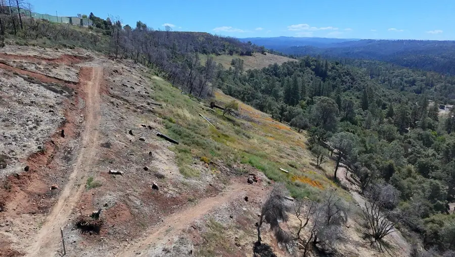 1687 Duden Drive, Placerville, CA 95667 - #2