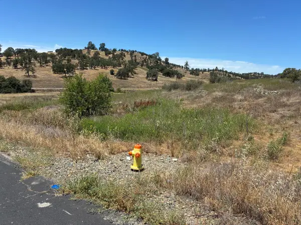 0 Pepito Dr, La Grange, CA 95329