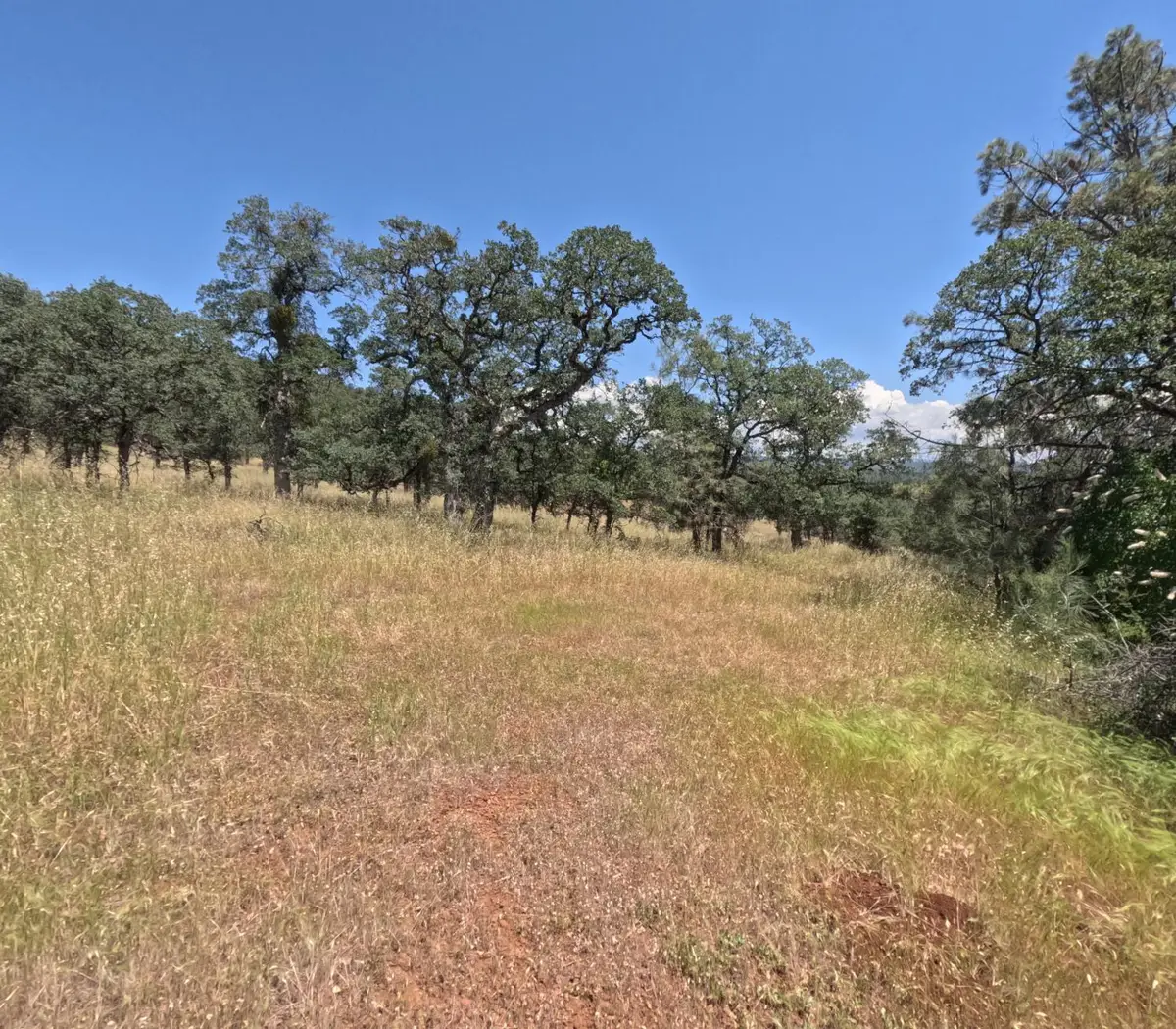 0 Hazen, Manton, CA 95059 - #1