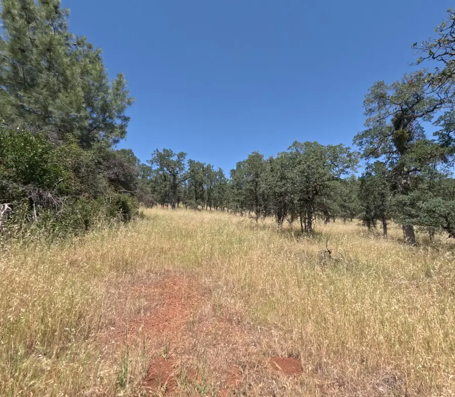 0 Hazen, Manton, CA 95059 - #2