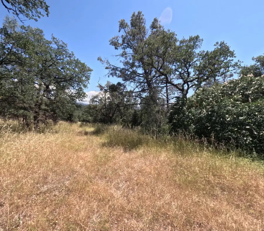 0 Hazen, Manton, CA 95059 - #3