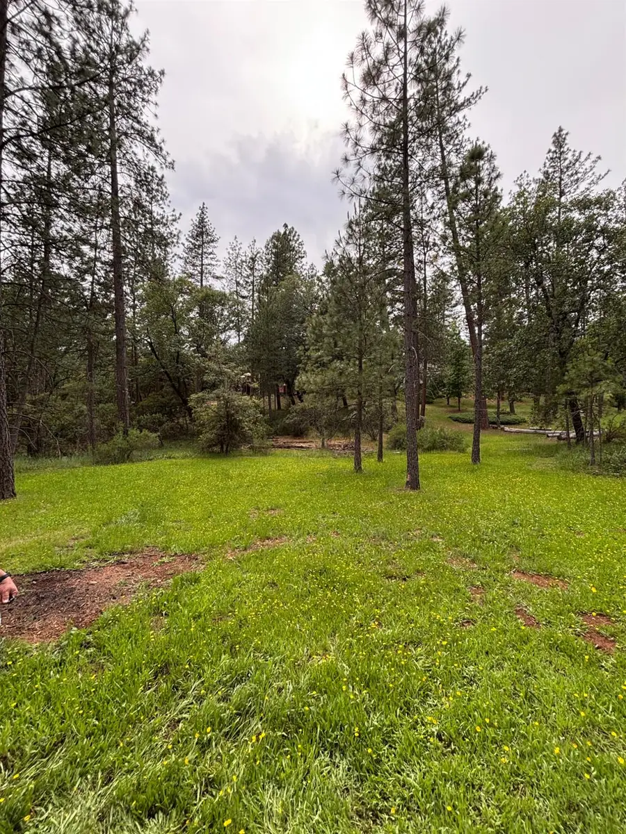 6428 Twin Oaks Court, Foresthill, CA 95631 - #2