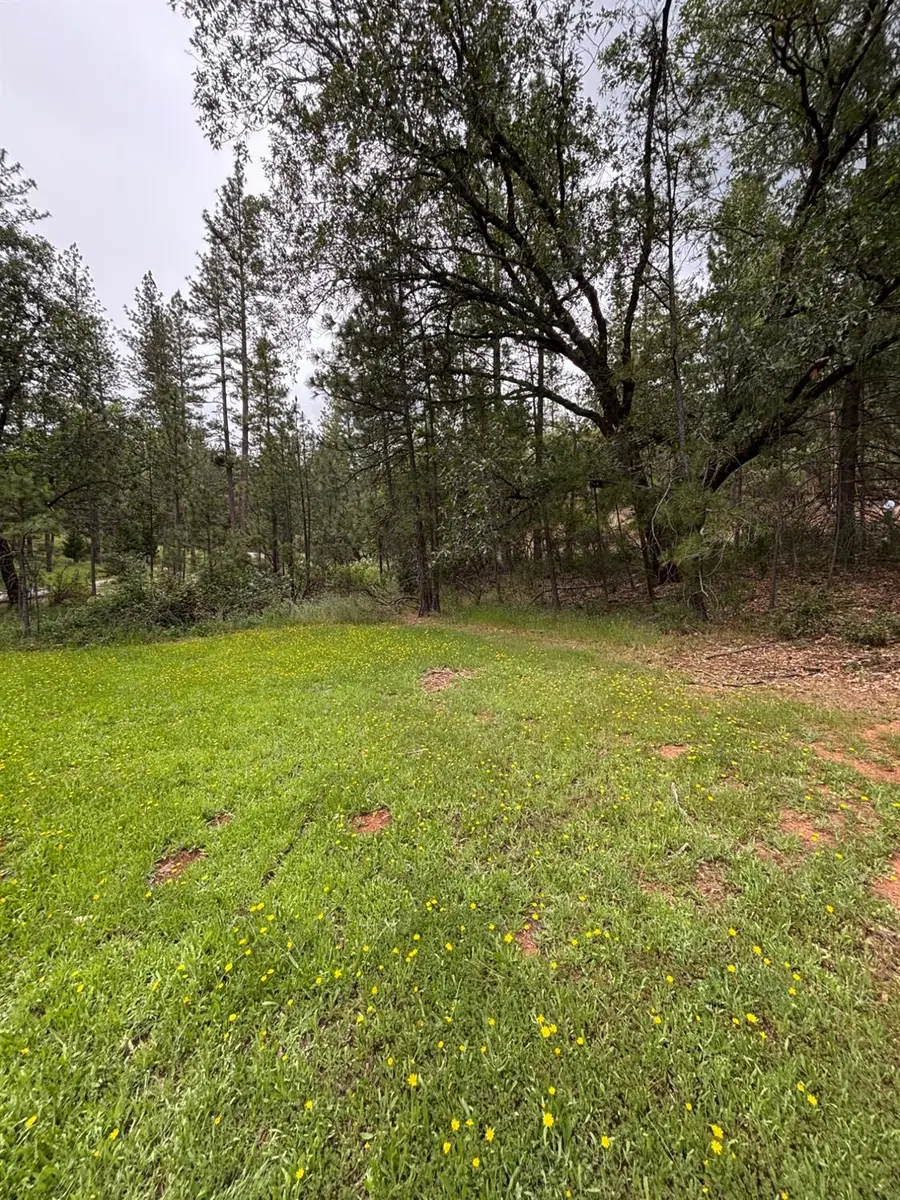 6428 Twin Oaks Court, Foresthill, CA 95631 - #3