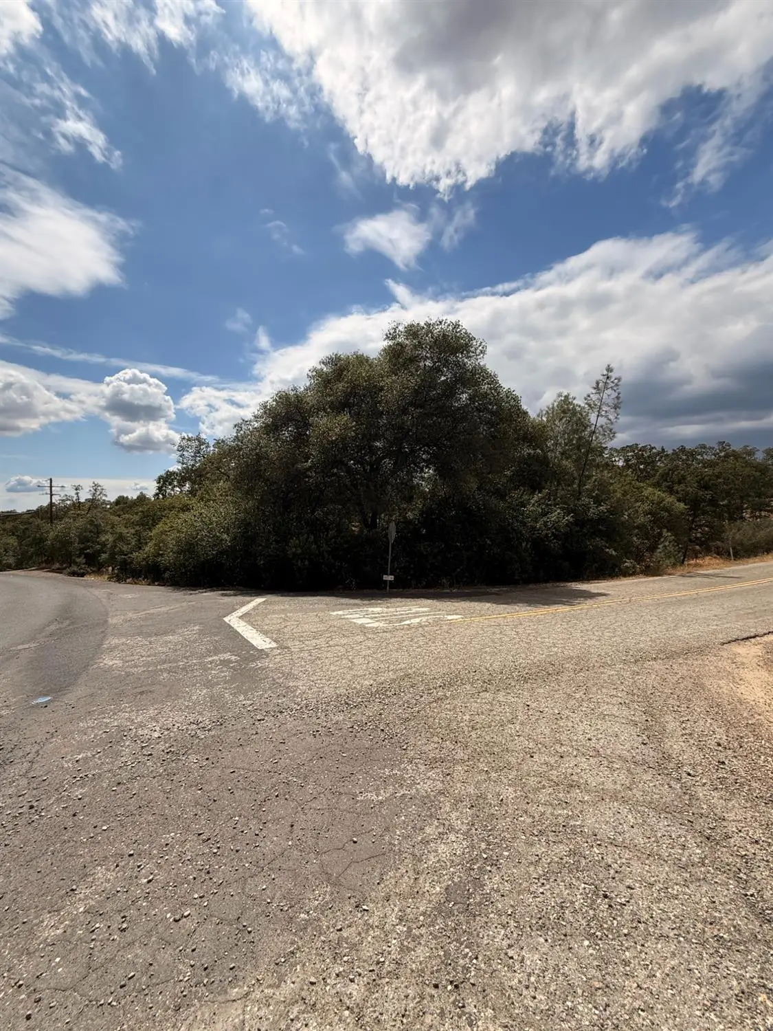 10357 Tulipan Way, Coulterville, CA 95311 - #1