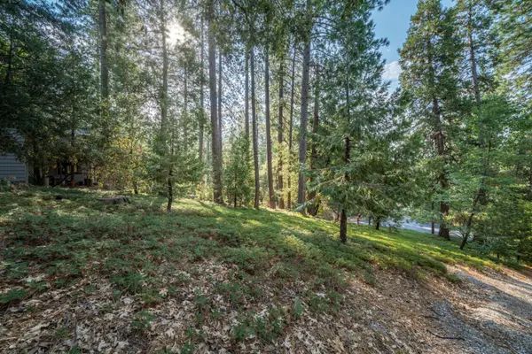 51 Canterwood Lane, Murphys, CA 95247