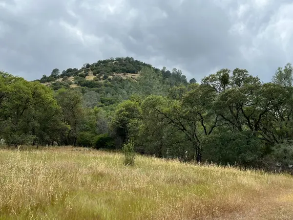 10840 Pool Station Road, Angels Camp, CA 95222