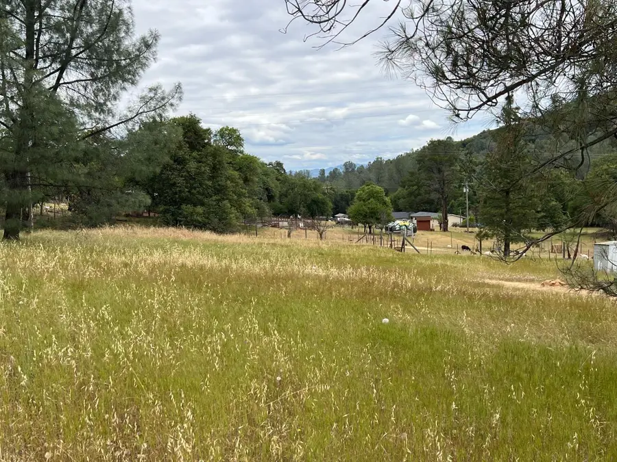 10840 Pool Station Road, Angels Camp, CA 95222 - #3