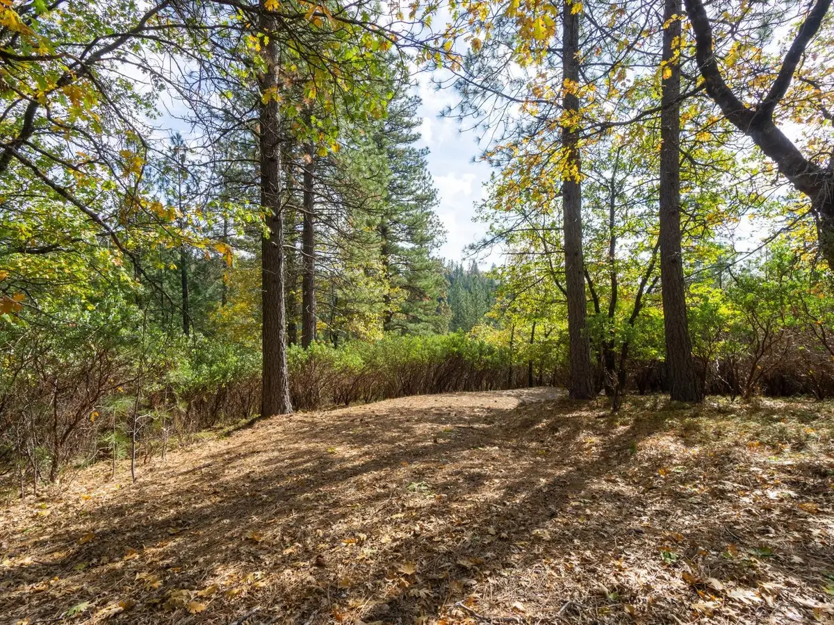 5031 Anne Louise Lane, Placerville, CA 95667 - #1