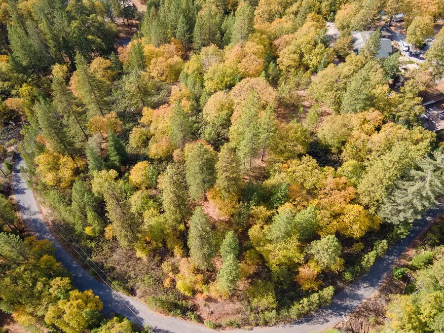 5031 Anne Louise Lane, Placerville, CA 95667 - #3