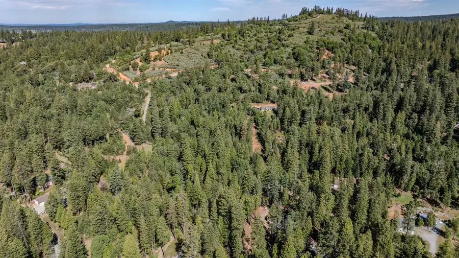 9 Silver Point Drive, Pioneer, CA 95666 - #2